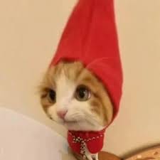 Samantha Ferrer avatar